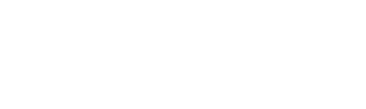 nus333